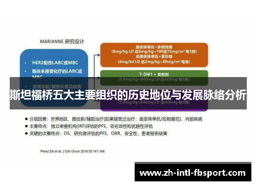 斯坦福桥五大主要组织的历史地位与发展脉络分析
