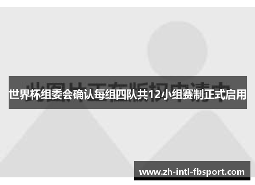 世界杯组委会确认每组四队共12小组赛制正式启用